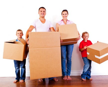 Illustration representing Sutton Movers cookie policy introduction